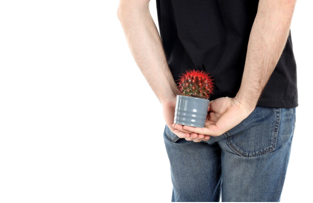 What Are Hemorrhoids?