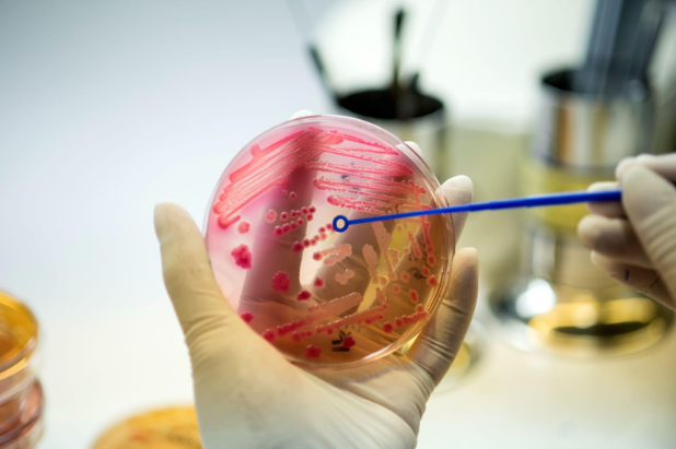 The Science Behind Fecal Microbiota Transplantation