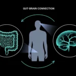 Conceptual illustration of gut-brain axis neural connections
