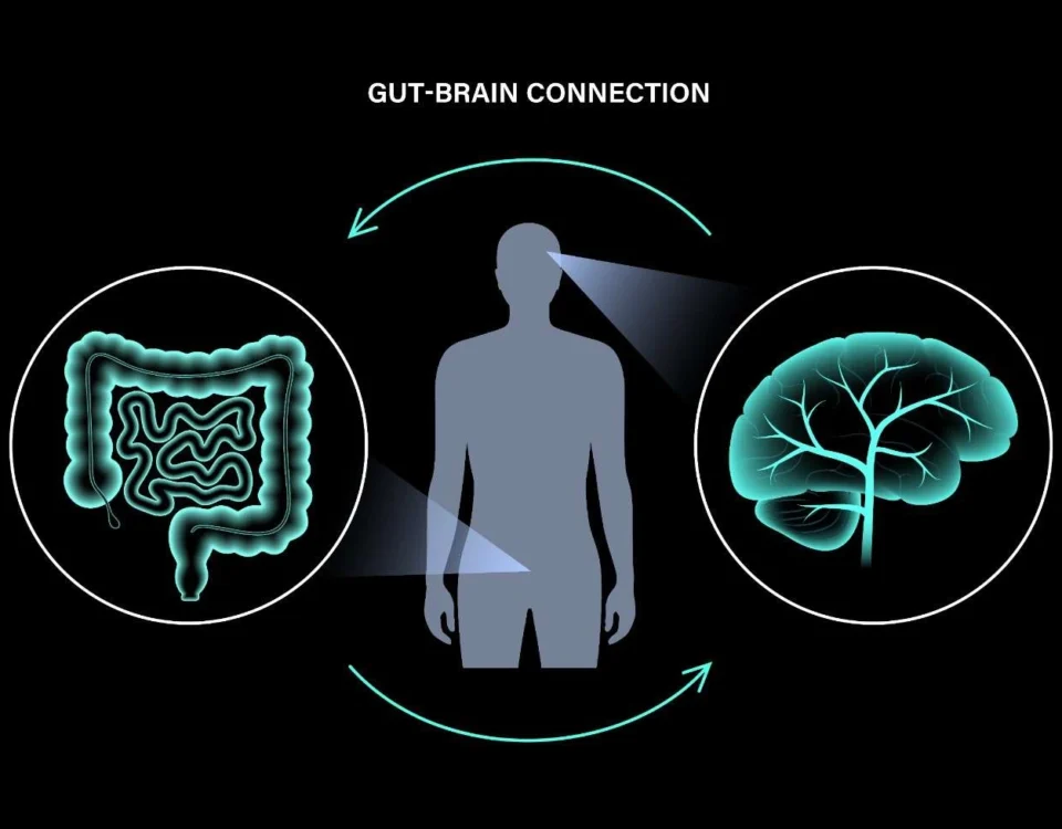 Conceptual illustration of gut-brain axis neural connections