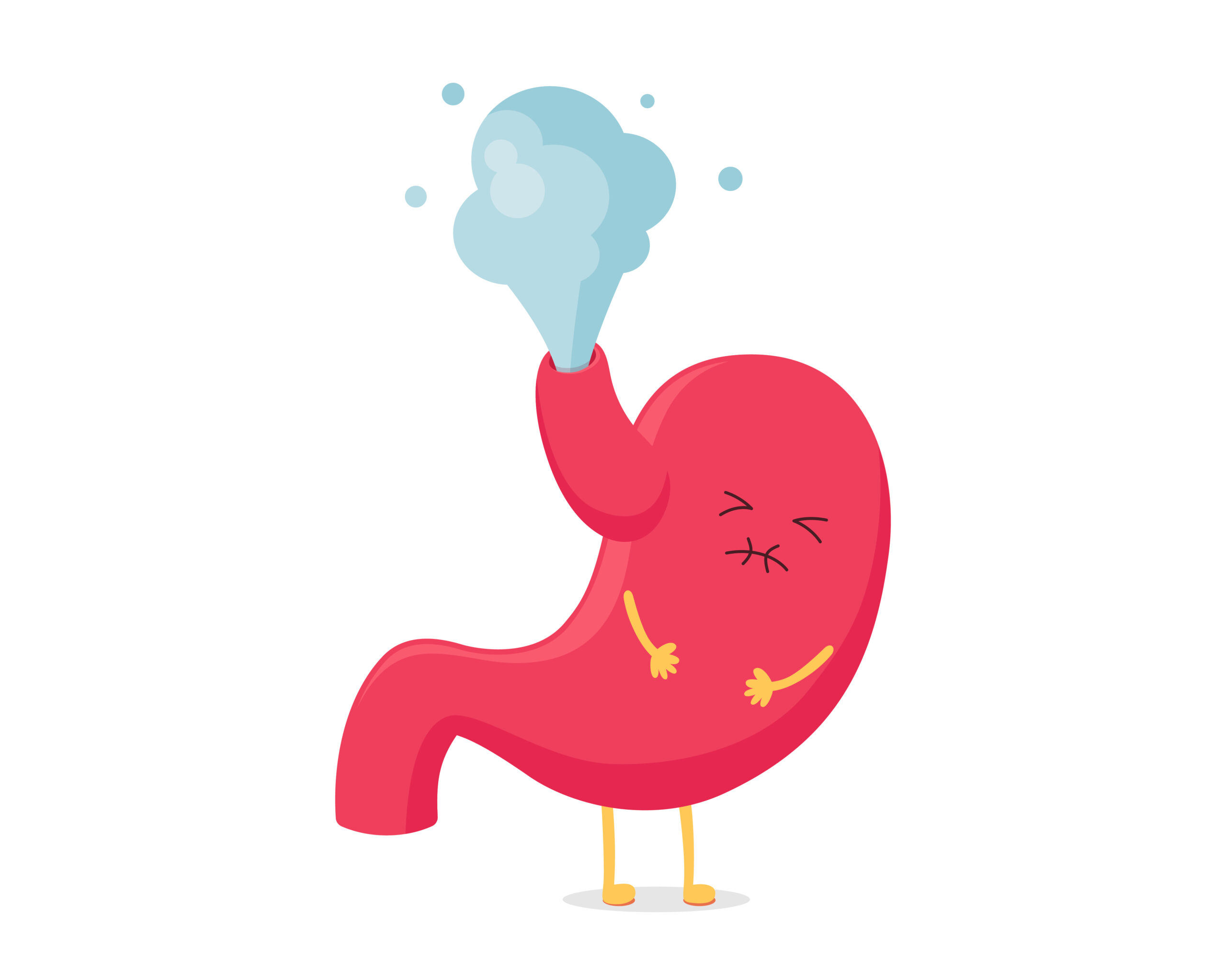 Diagram of digestive system highlighting gas production